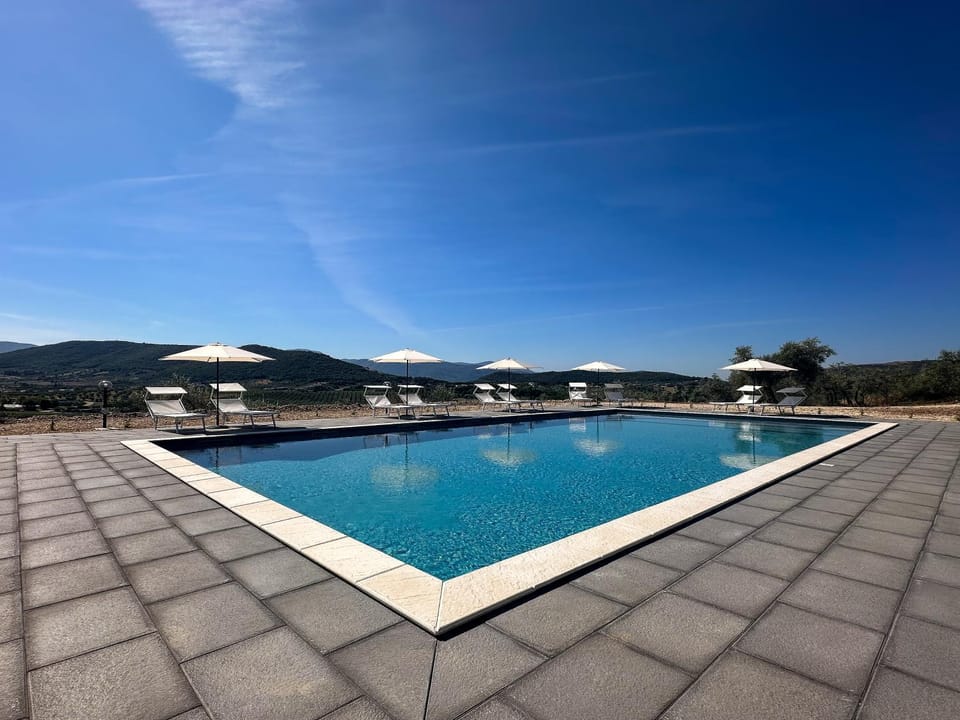 Swimming pool, sunbed