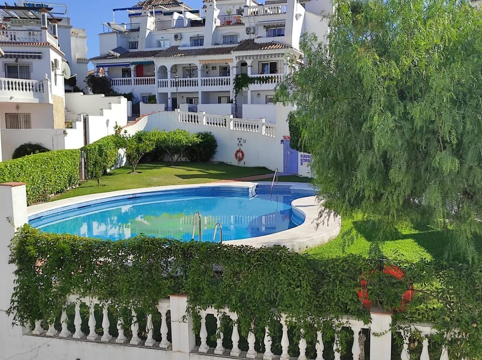 Day, Garden, Pool view, Swimming pool