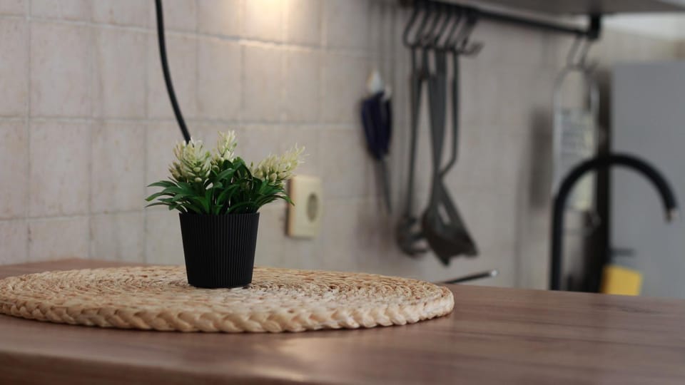 Pannonia Nook Apartment in Novi Sad