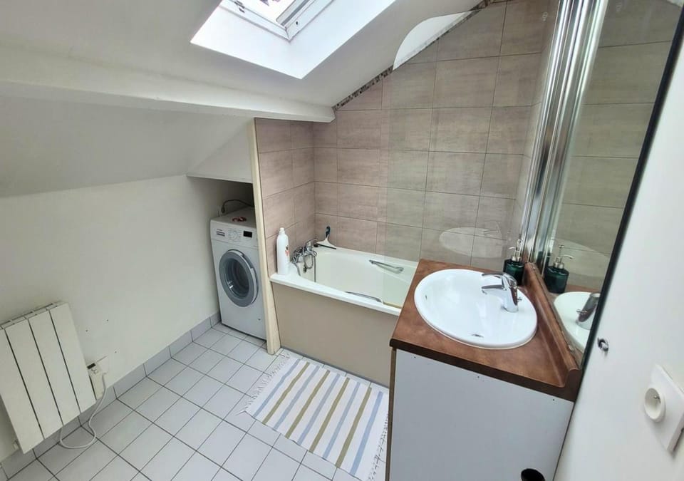 Bathroom, flat iron, hair dryier, towels, washing machine, dryer