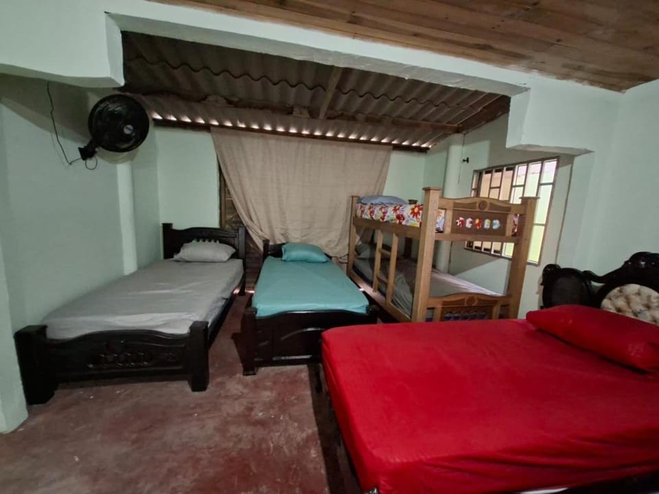 Bed, Photo of the whole room, Bedroom, bunk bed