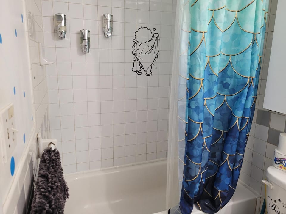 Entire 1 bedroom in Forest hills Apartment in Forest Hills