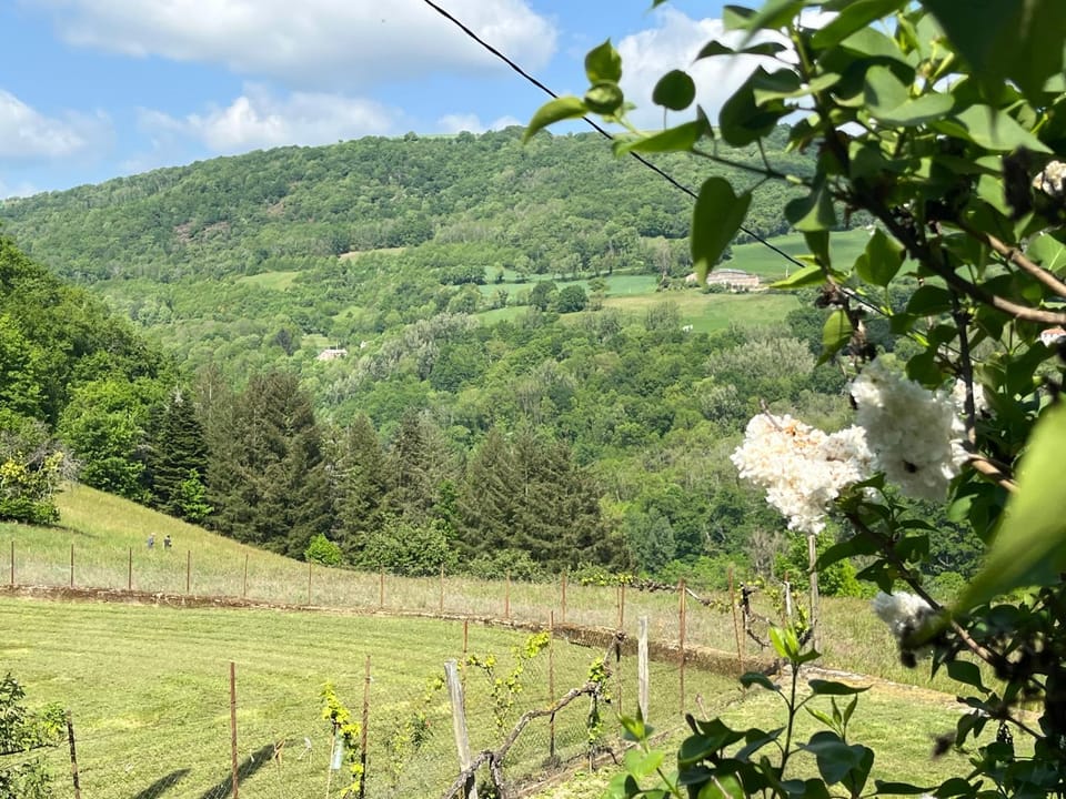 View (from property/room)