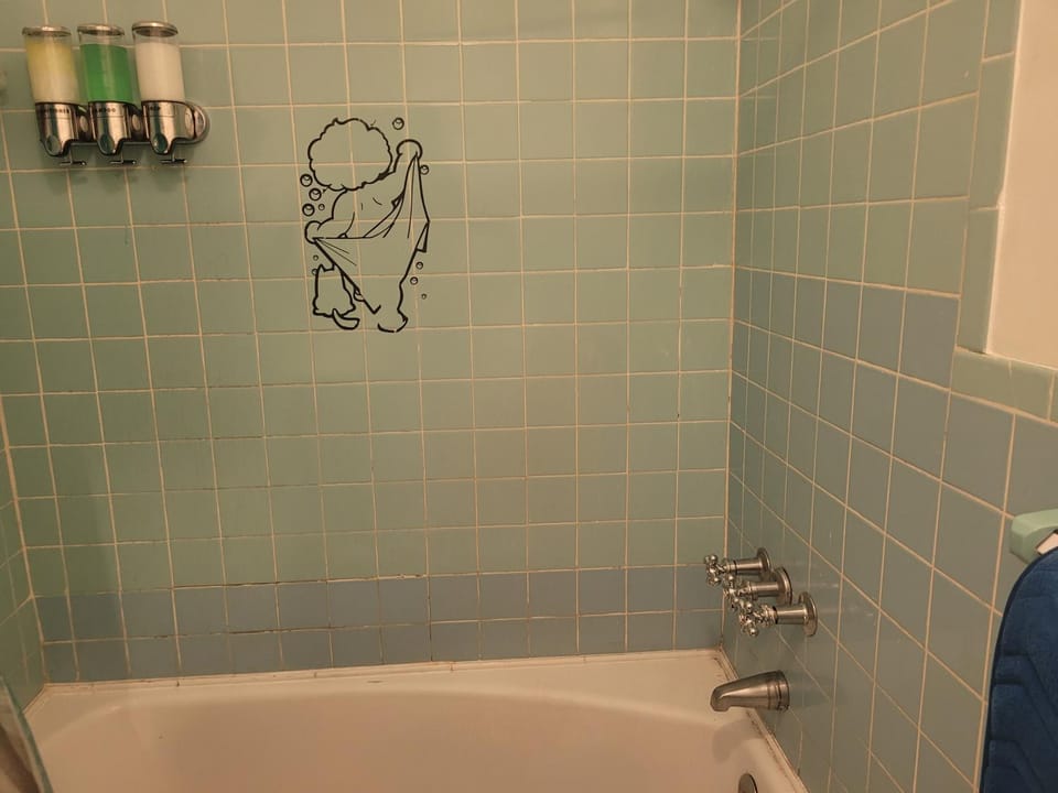 Large 4 bedrooms 2 baths in Rego Park Apartment in Rego Park