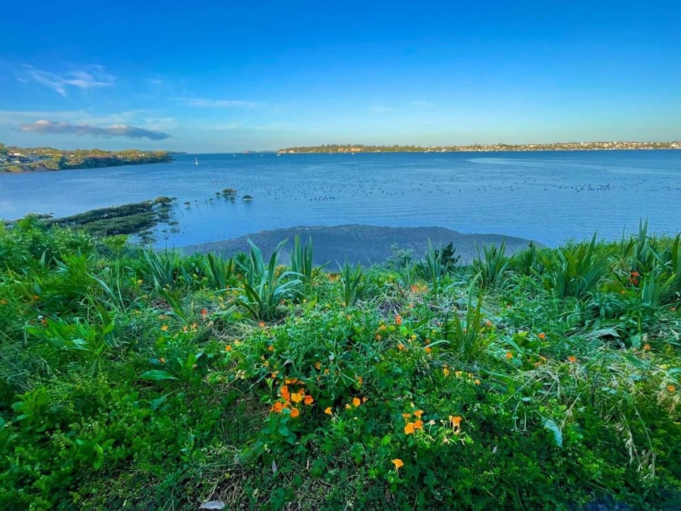 Natural landscape, Sea view
