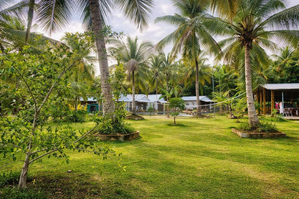 Natural landscape, Garden