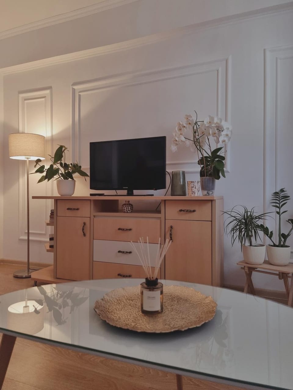 TV and multimedia