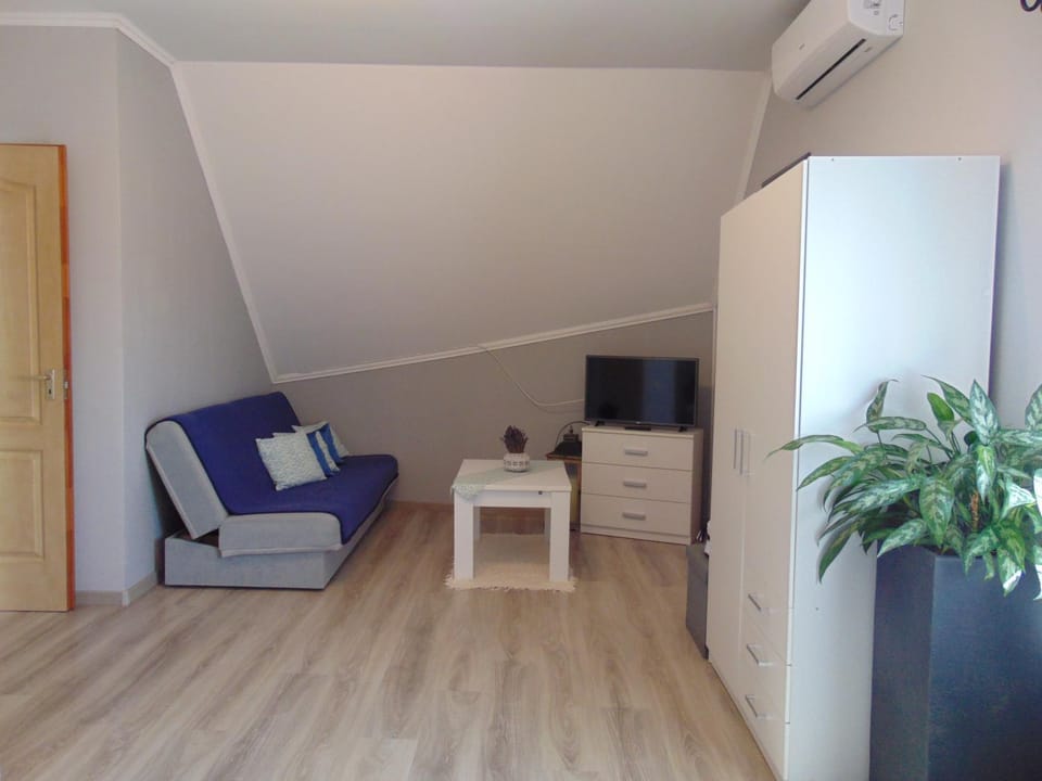 TV and multimedia, air conditioner
