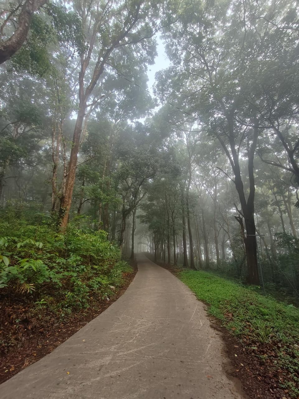 Day, Natural landscape