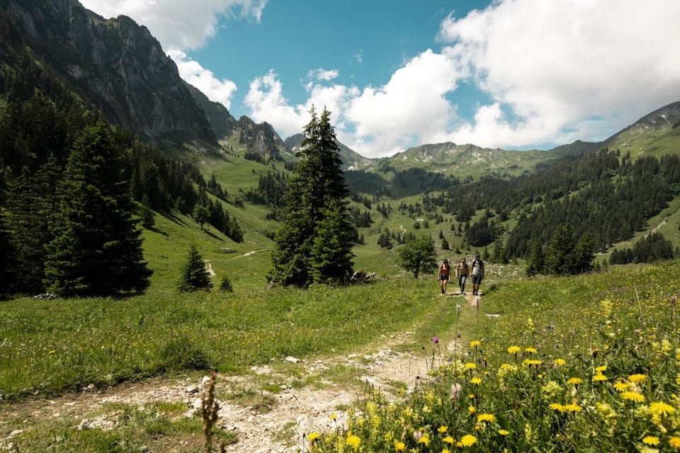 Nearby landmark, Spring, People, Natural landscape, Mountain view, group of guests