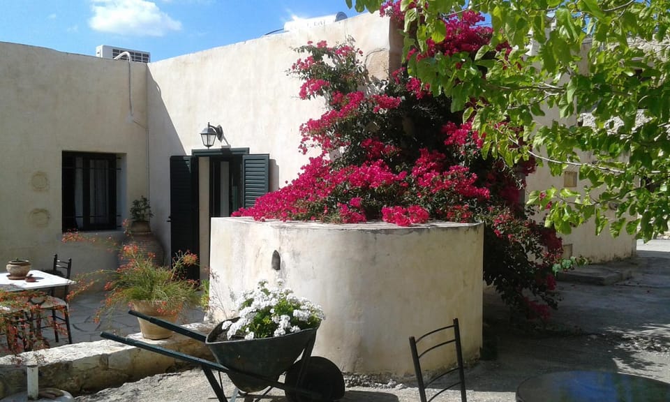 Patio, Facade/entrance, Garden, Garden view, Mountain view