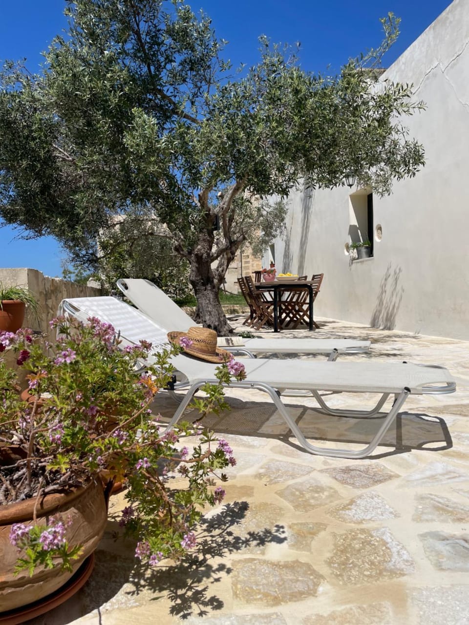 Patio, Garden, sunbed