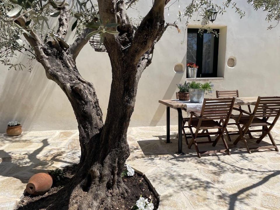 Patio, Garden, Garden view