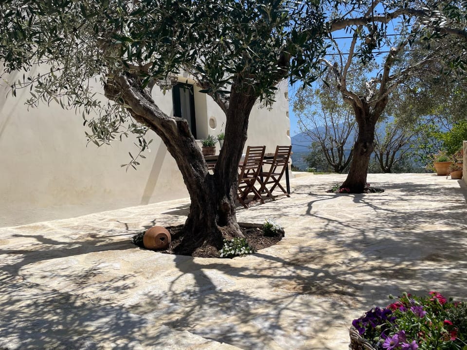 Natural landscape, Garden, Garden view