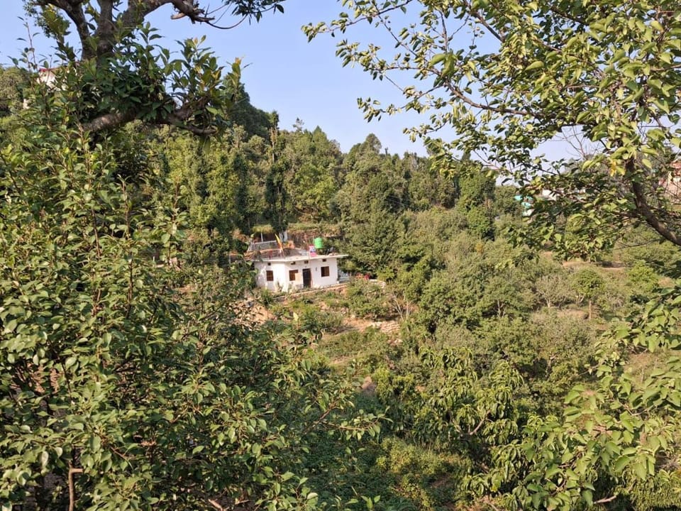Natural landscape