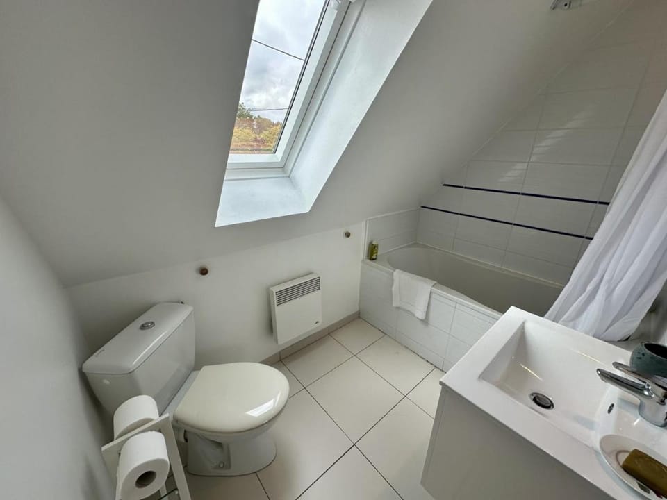 Toilet, Bathroom, towels