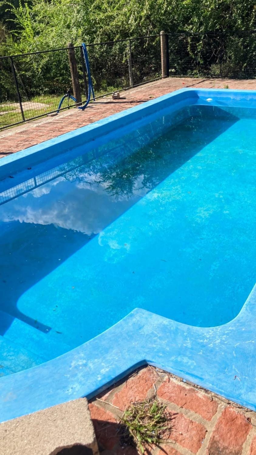 Garden, Pool view, Swimming pool, Swimming pool