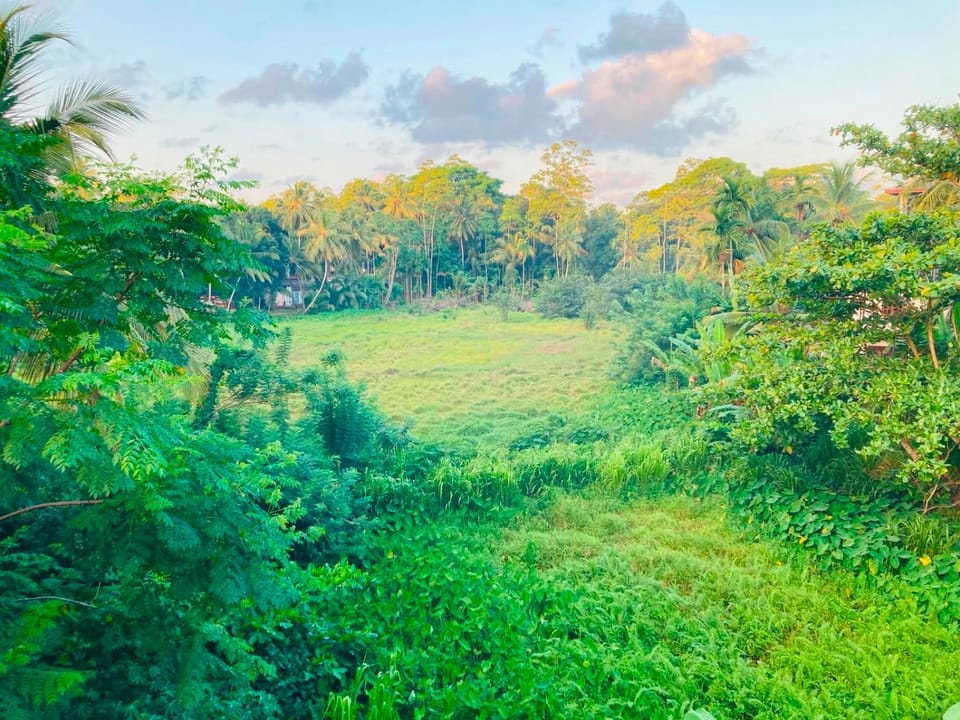 Tom's Place Villa in Southern Province