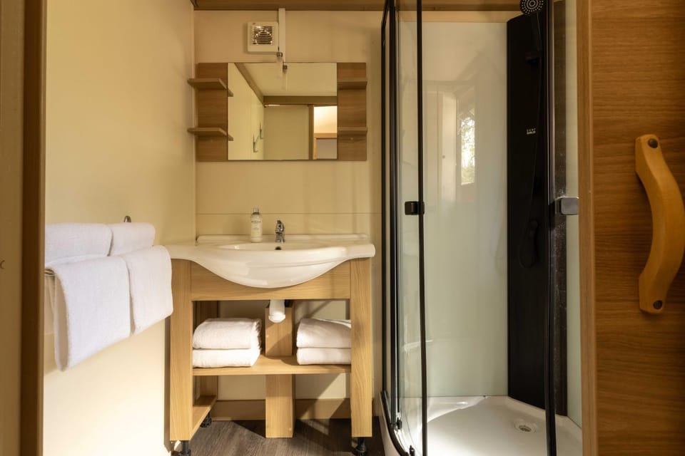 Shower, Toilet, Bathroom, towels