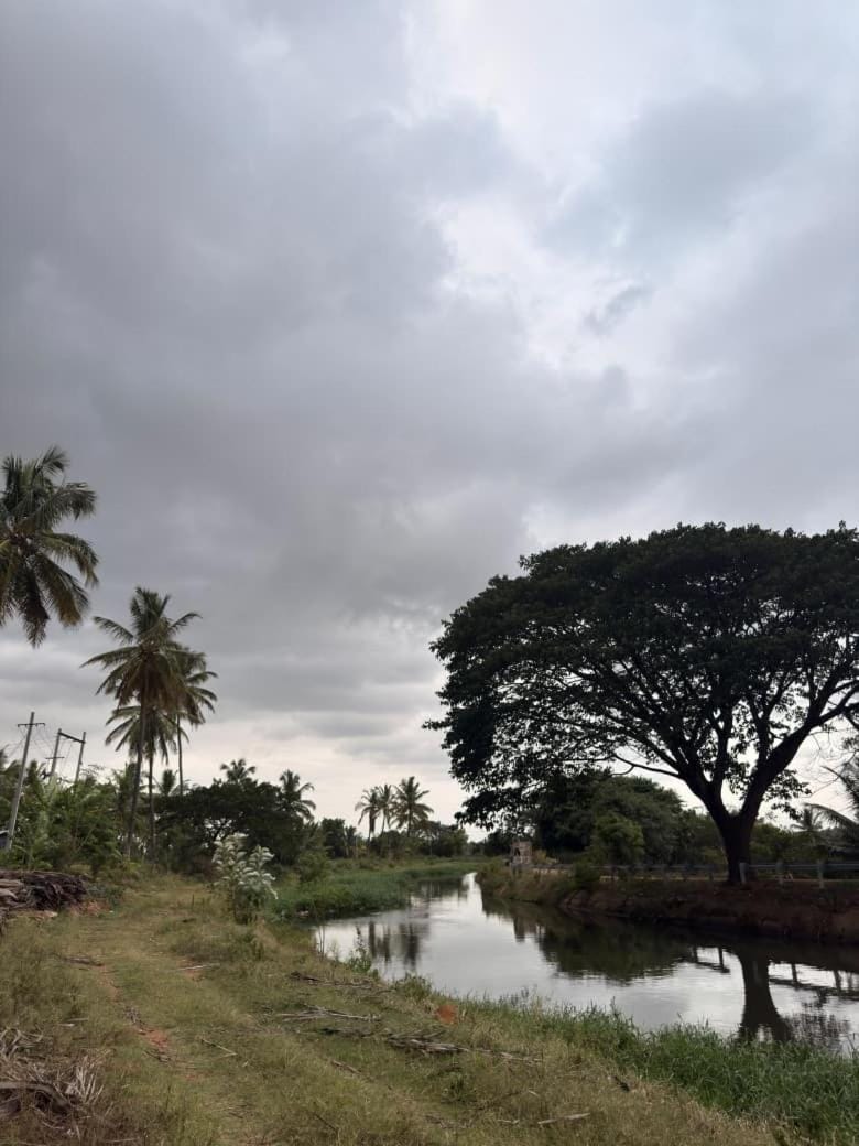 River view