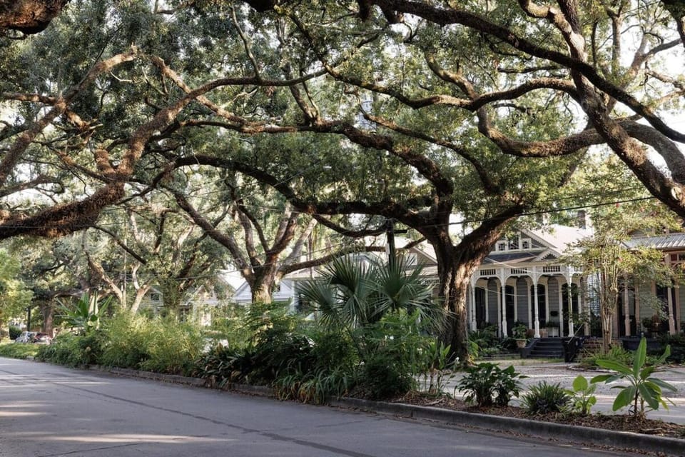 Cozy apartment in Bayou St John Apartment in New Orleans