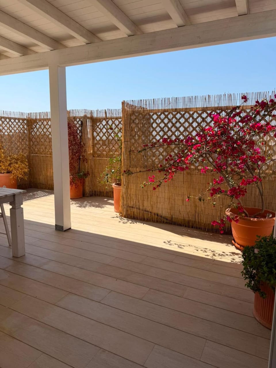 Altavista Suite - RC Apartments Apartment in Lecce