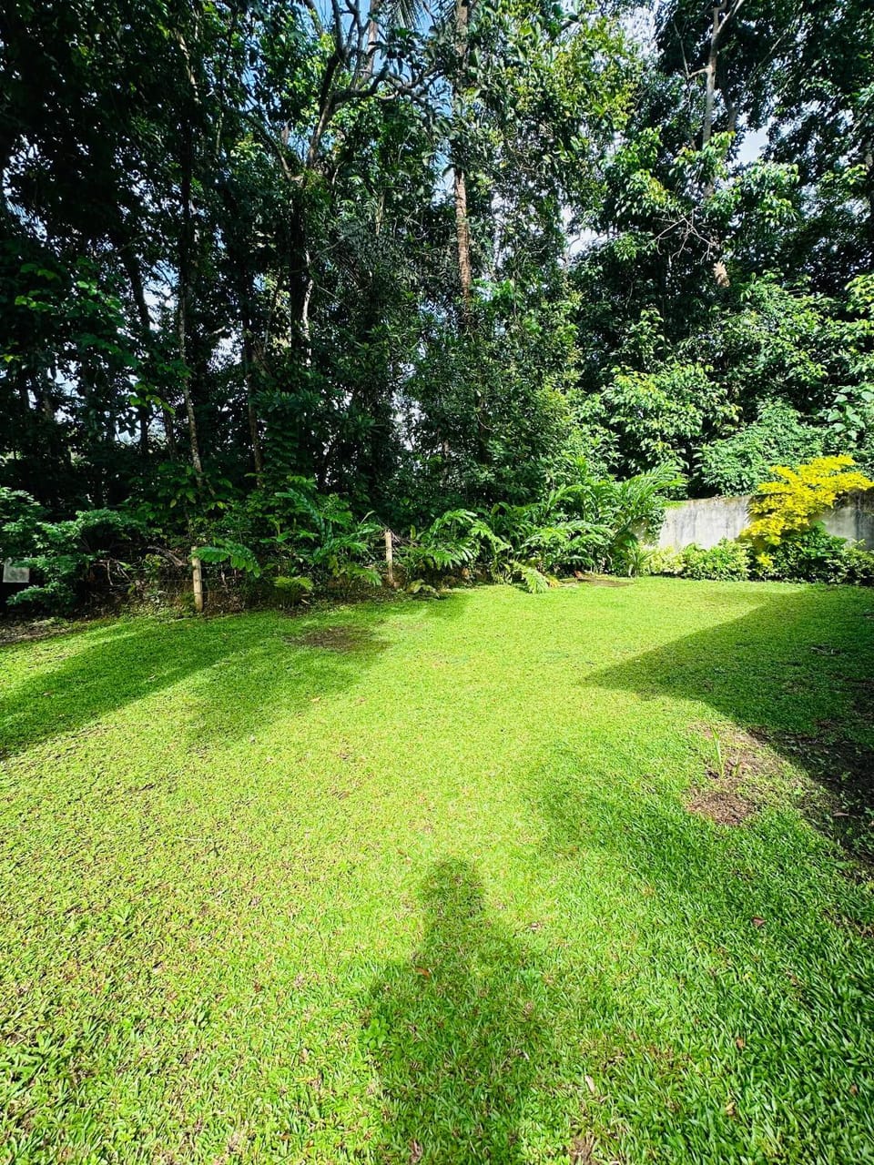 La olive villa Apartment hotel in Southern Province