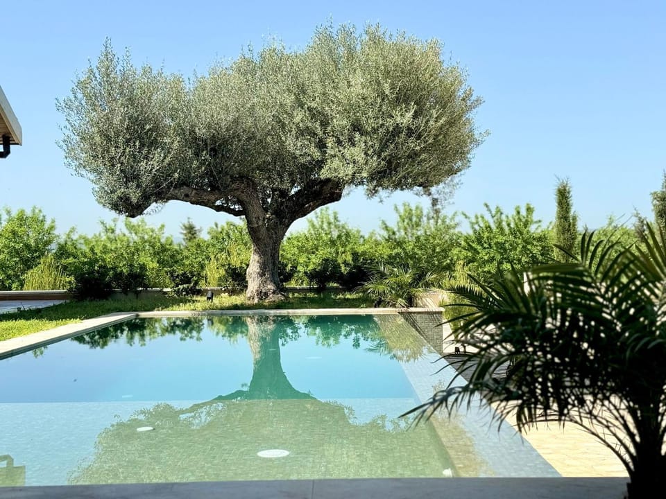 Summer, Garden, Swimming pool