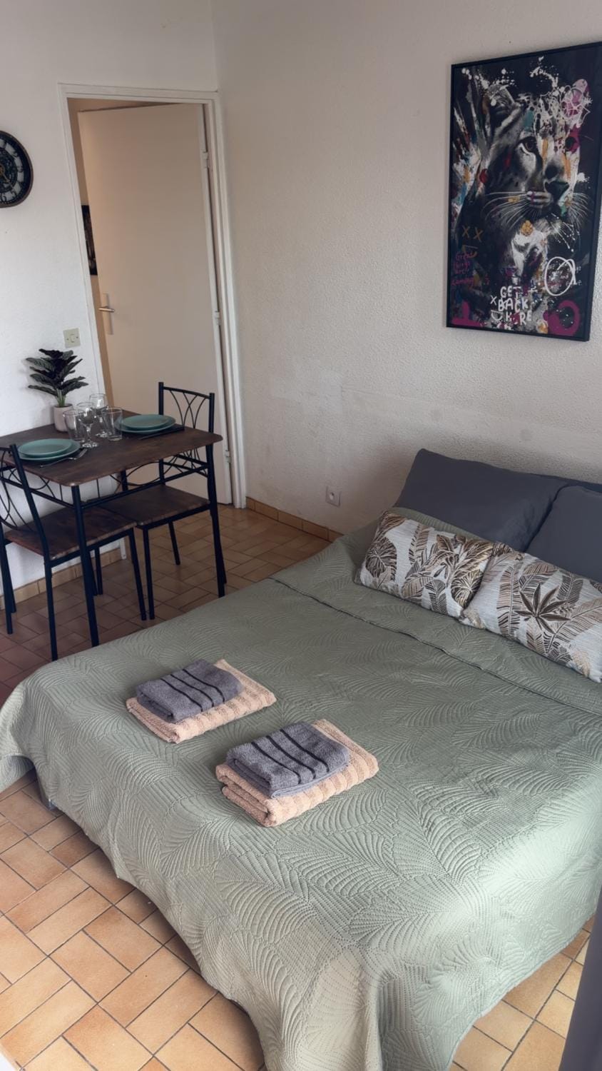Cozy studio with a sunny balcony, close to the beach Apartment in La Grande-Motte