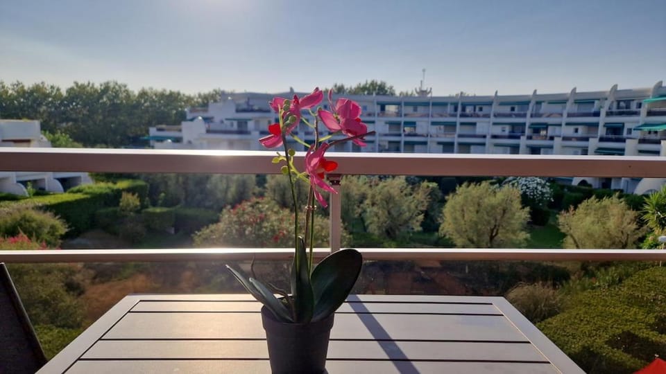 Cozy studio with a sunny balcony, close to the beach Apartment in La Grande-Motte