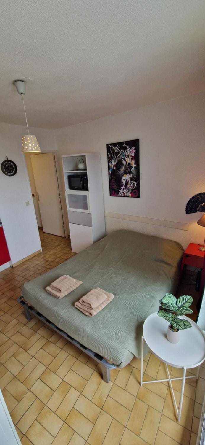 Cozy studio with a sunny balcony, close to the beach Apartment in La Grande-Motte