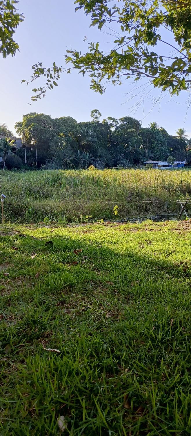 Natural landscape, Garden