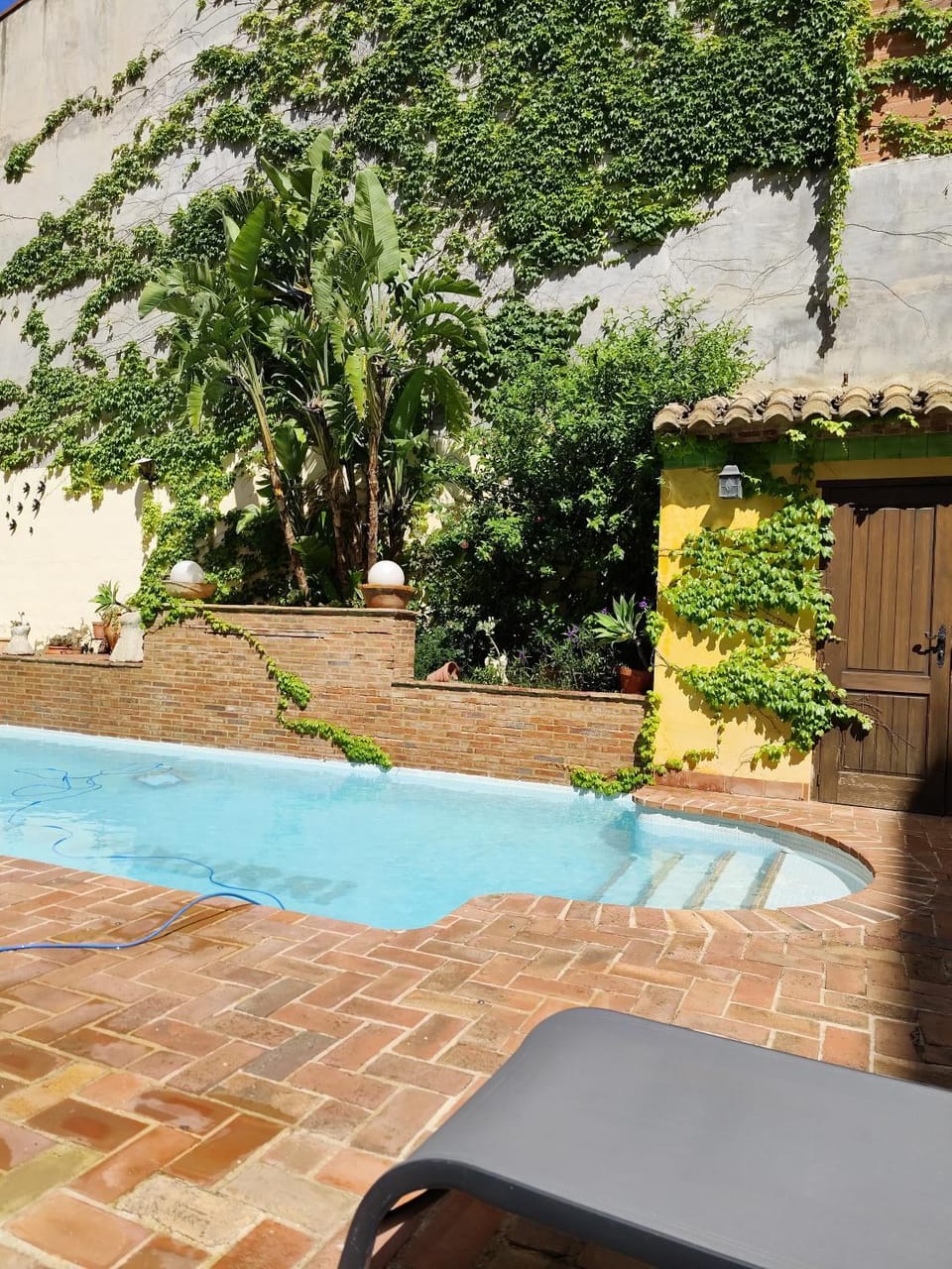Garden, Swimming pool