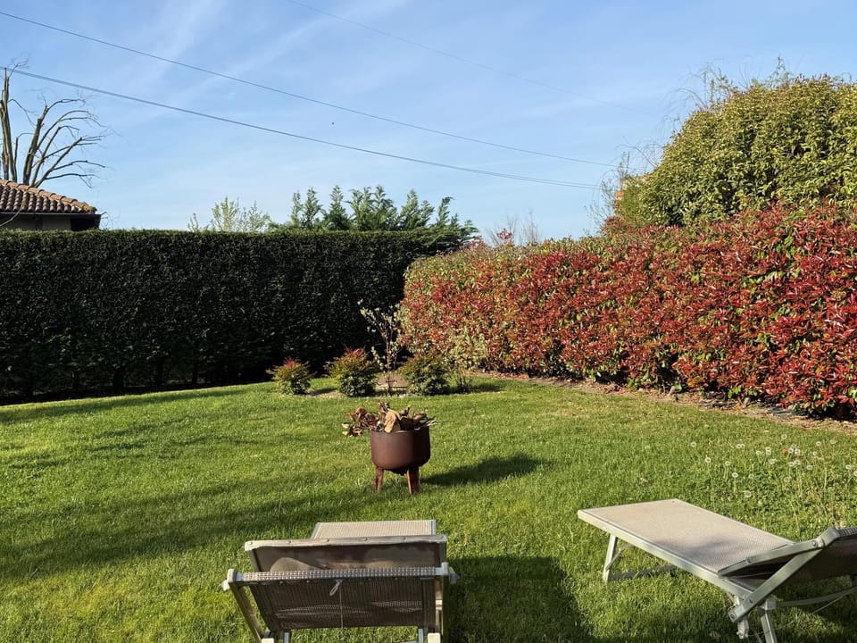 Garden, Garden view, sunbed