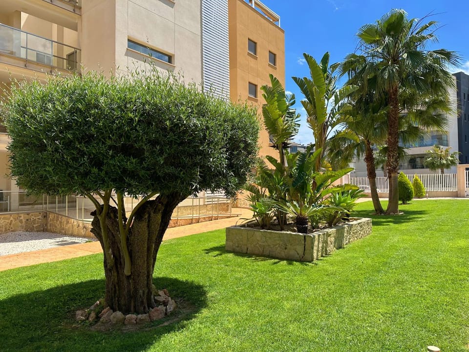 Garden, Garden, Garden view, Area and facilities