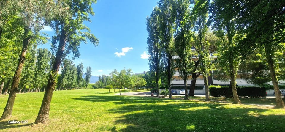 Spring, Day, Natural landscape, Garden, Garden, Garden view