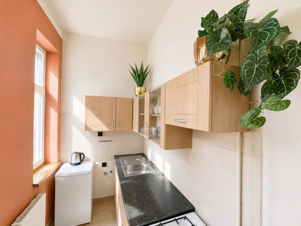 Kitchen or kitchenette, stove