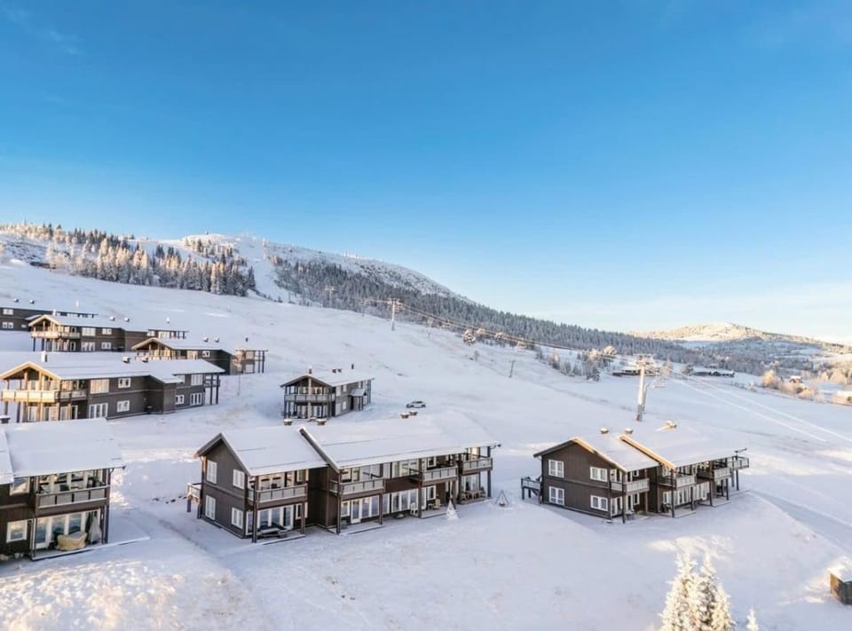 Bualie leilighet Apartment in Viken, Norway