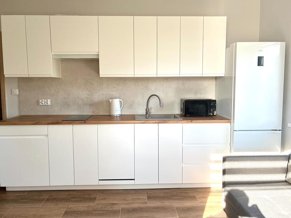Kitchen or kitchenette, dishwasher, oven, stove