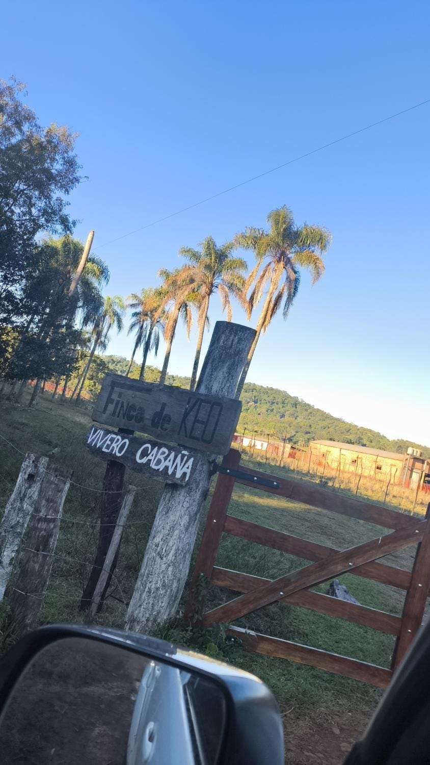 Finca Keo House in Misiones Province, Argentina