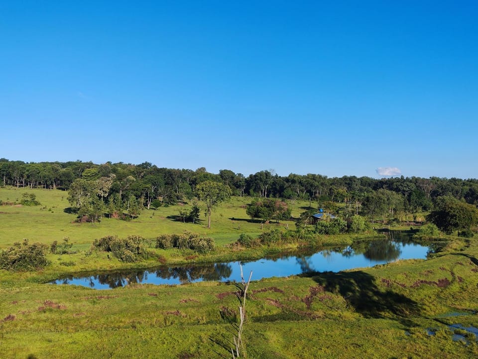 Finca Keo House in Misiones Province, Argentina
