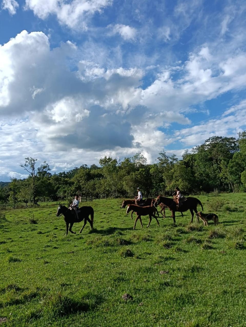 Finca Keo House in Misiones Province, Argentina