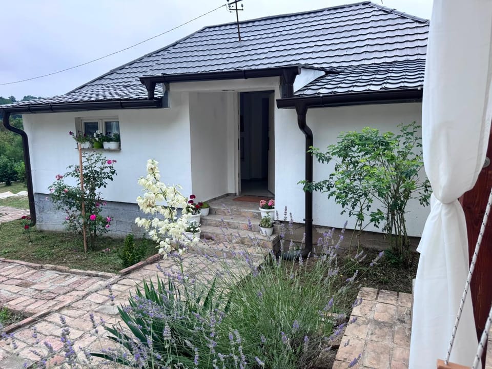 Tri hrasta House in Serbia