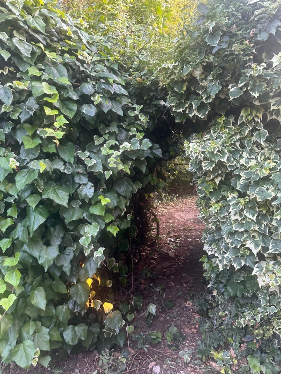 Property building, Garden