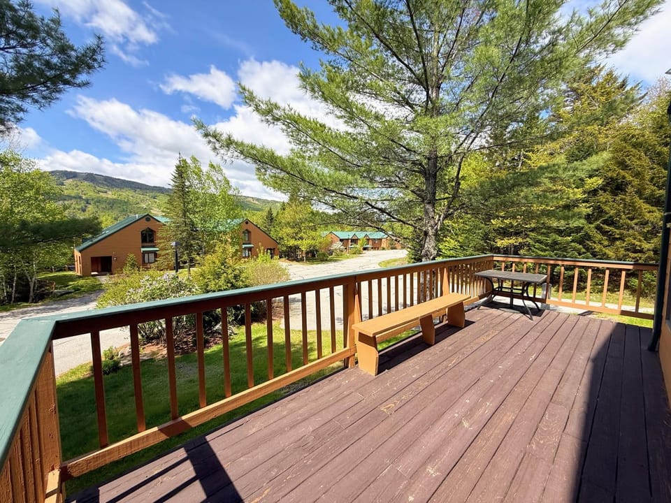 W38 Spacious 5BR Slope View Retreat, Ping Pong, Fireplace and Bretton Woods Adventure House in Carroll