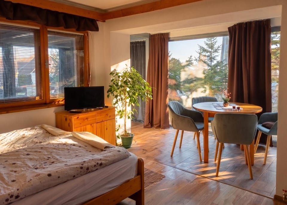 TV and multimedia, View (from property/room), Photo of the whole room, Landmark view