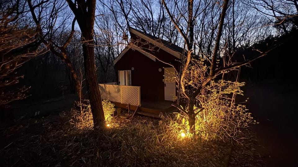 Property building, Night, Natural landscape, Garden view