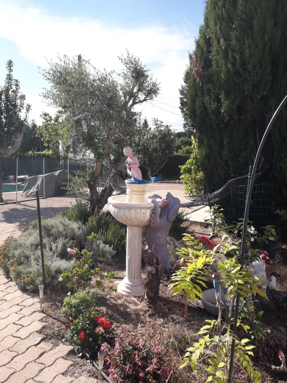 Garden, Garden view