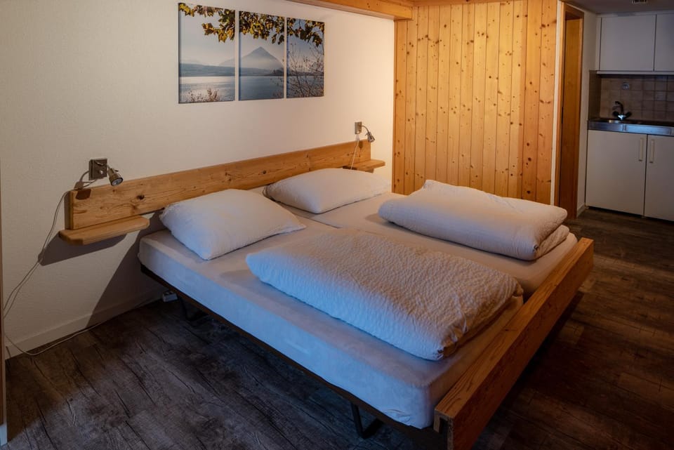 Bed, Photo of the whole room, Bedroom