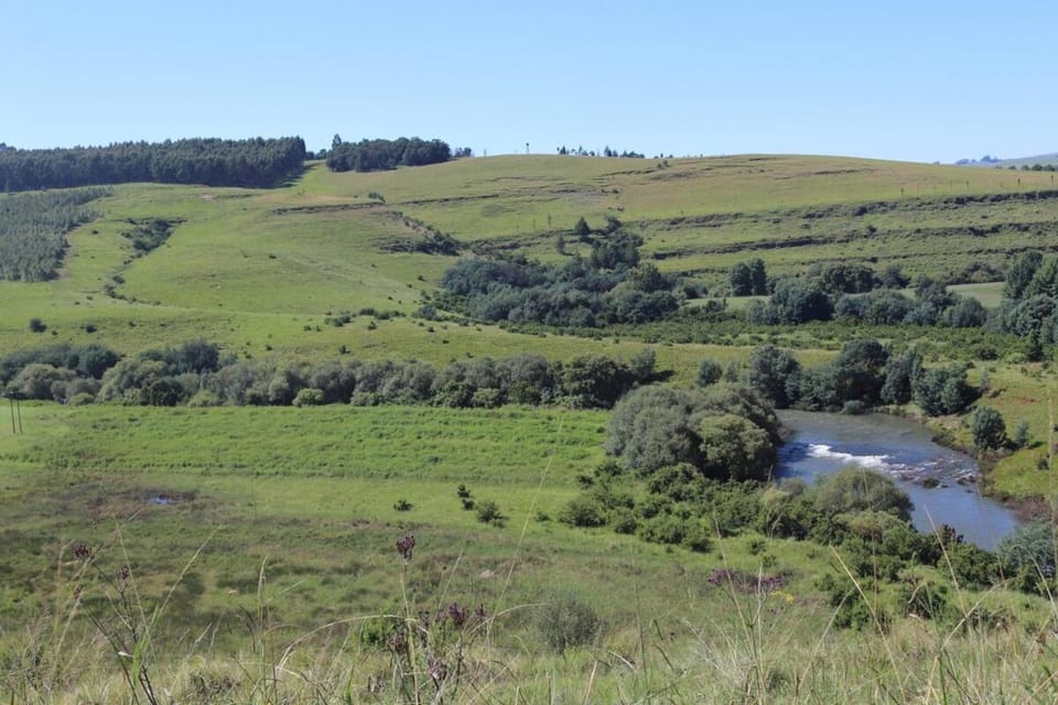 Natural landscape, River view
